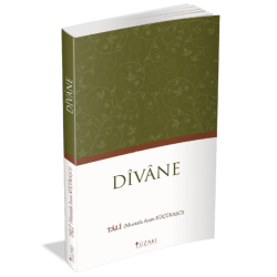 DİVANE