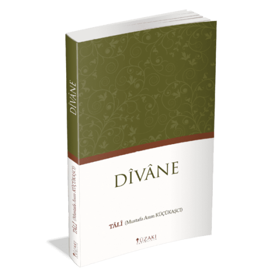 DİVANE