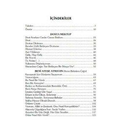 Dostun Divanına - Halime Demireşik